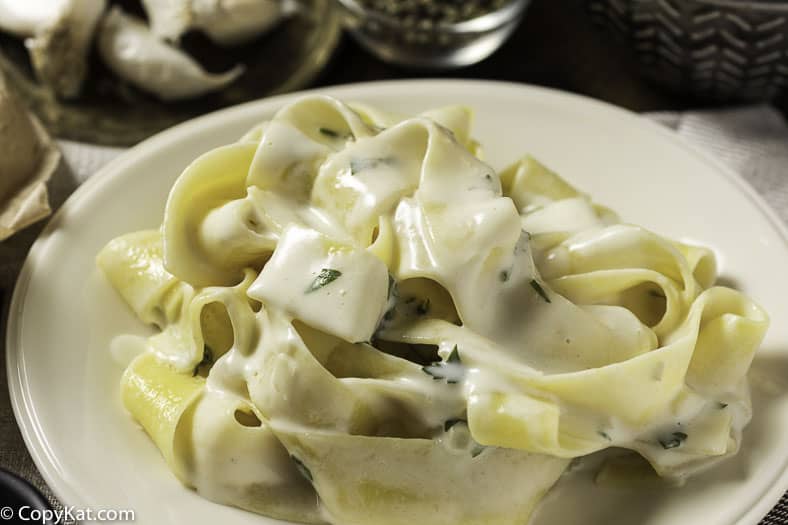 Pasta with Alfredo sauce on a plate.