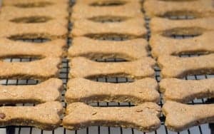 Hard dog biscuit recipe sale