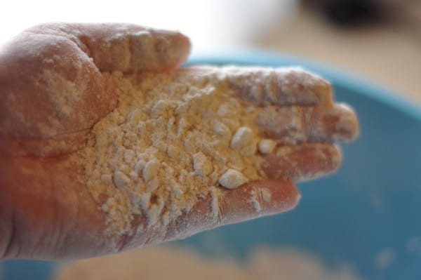 a handful of biscuit dough after cutting in the butter