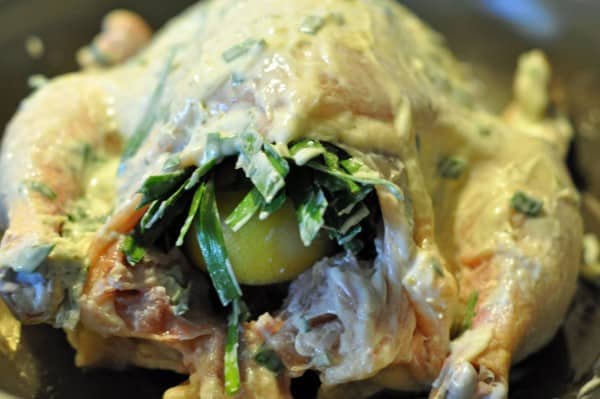 preparing a baked chicken with herbed butter