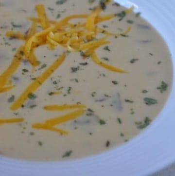 canadian beer cheese soup recipe