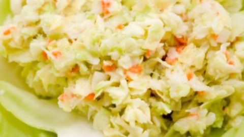 Frozen Cole Slaw Copykat Recipes