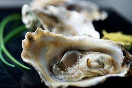 fresh oysters for recipes.