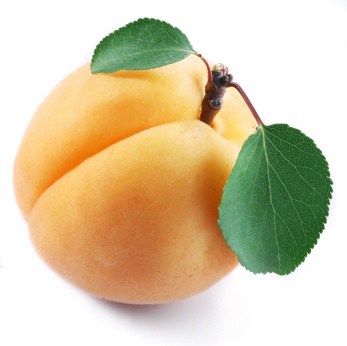 apricots are delicious in cake