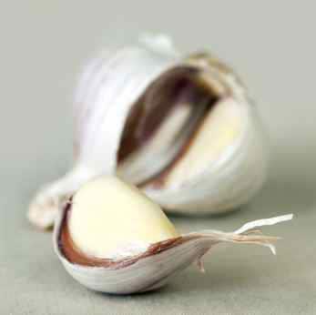 fresh clove of garlic