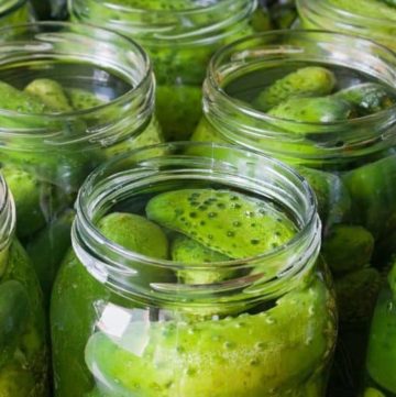 jars of homemade spicy dill pickles