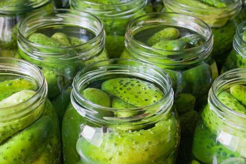 homemade spicy dill pickles in jars