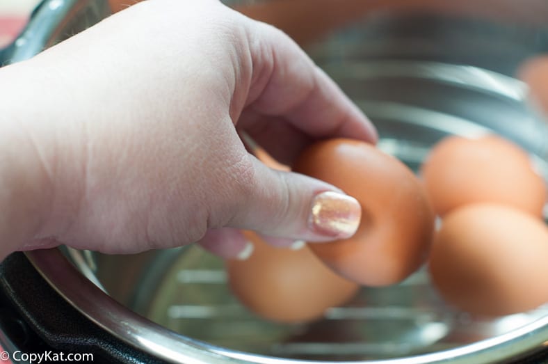 Instant Pot Boiled Eggs Without A Rack - Fast Food Bistro