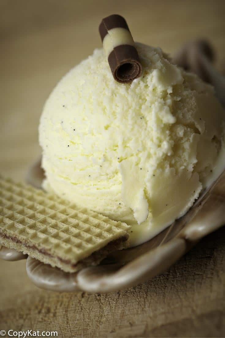 Vanilla bean ice-cream