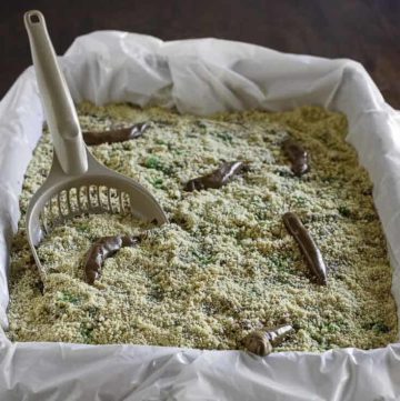 Kitty litter box cake with scoop.