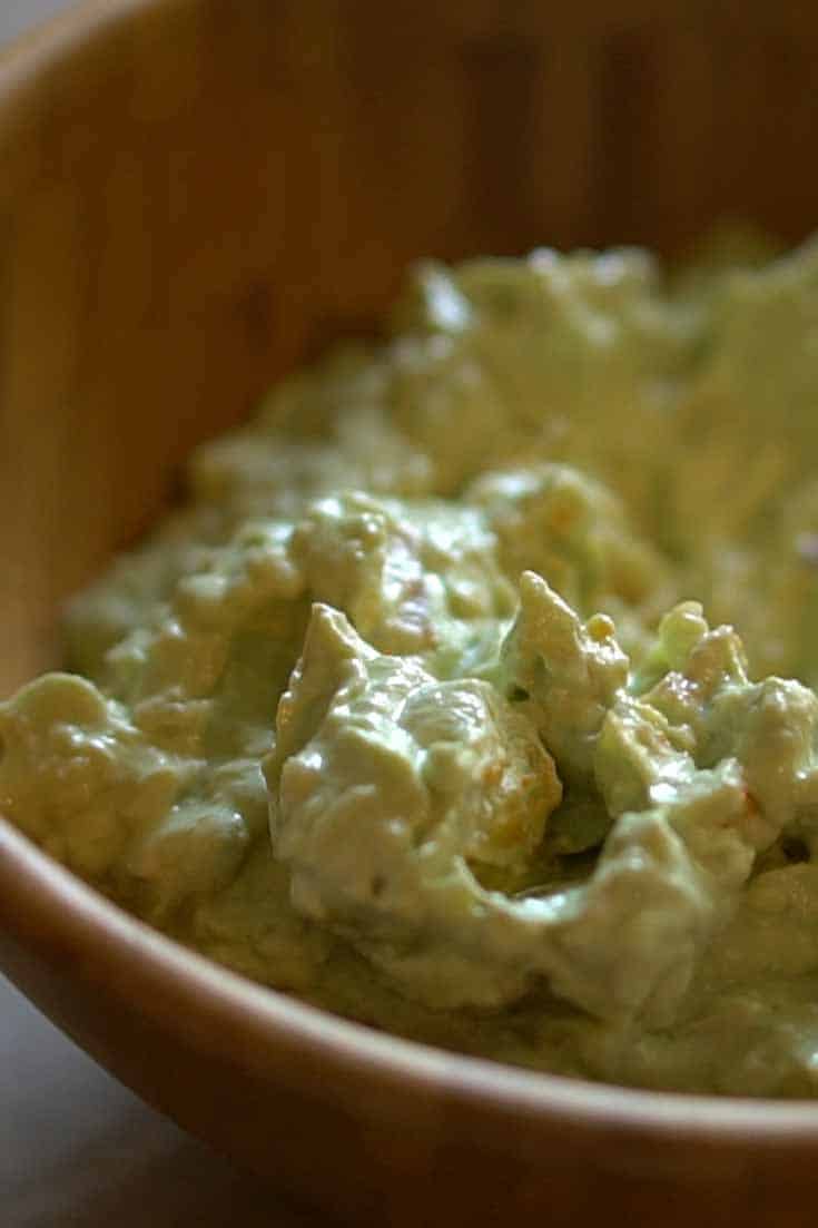 This avocado and bacon dip is the perfect dip for low carb and keto diets.  So easy to make. 