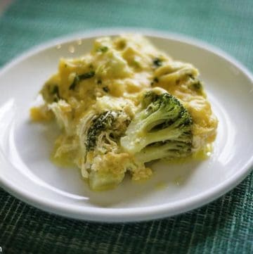 Chicken divan on a white plate.