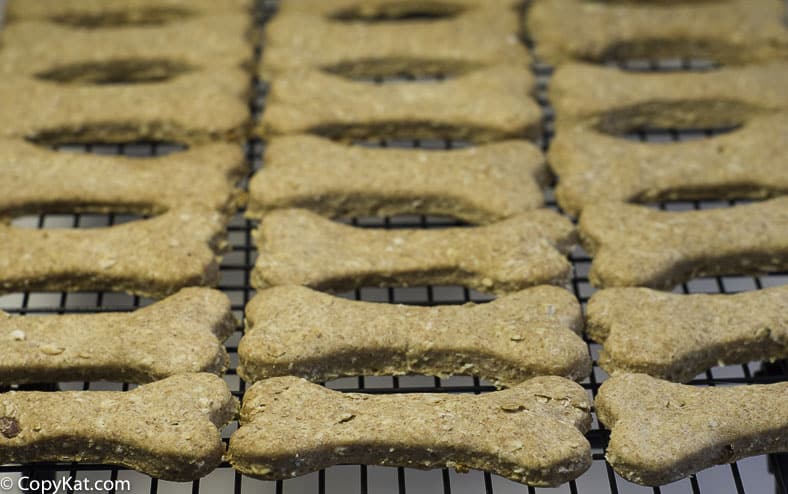 rows of cooked dog biscuits