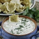homemade white queso served with crispy chips