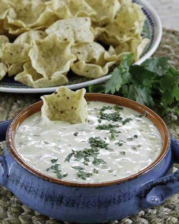 homemade white queso served with crispy chips