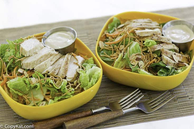 Two bowls of homemade appbleees grilled chicken oriental salad