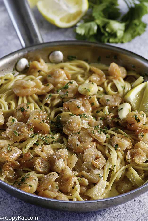 Shells Garlic Shrimp Pasta With White Wine Sauce Copykat Recipes