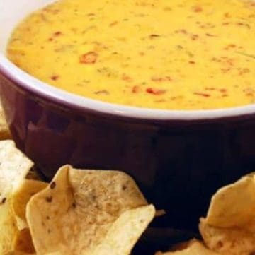 Spicy Rotel Cheese Dip and tortilla chips