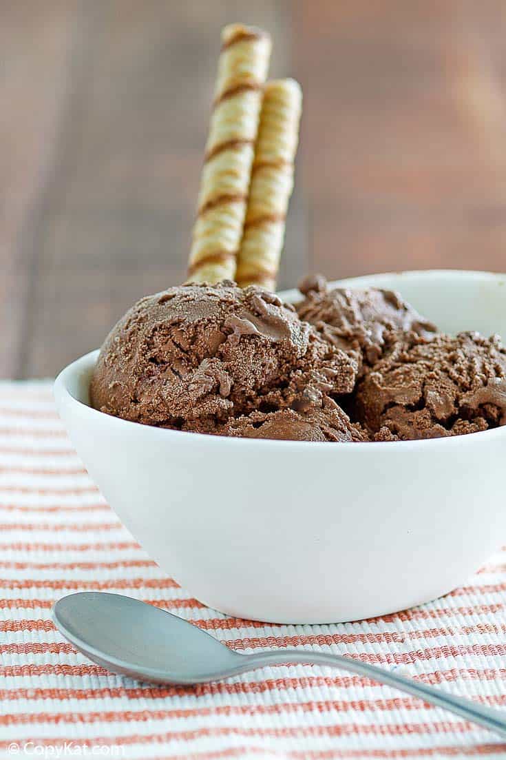a bowl of homemade chocolate ice cream