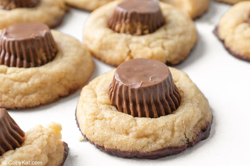 peanut butter cup cookie dipped in chocolate