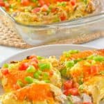 turkey enchiladas on a plate and in a glass baking dish