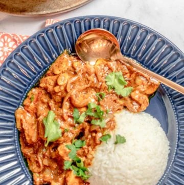 overhead view of butter chicken and rice in a bowl