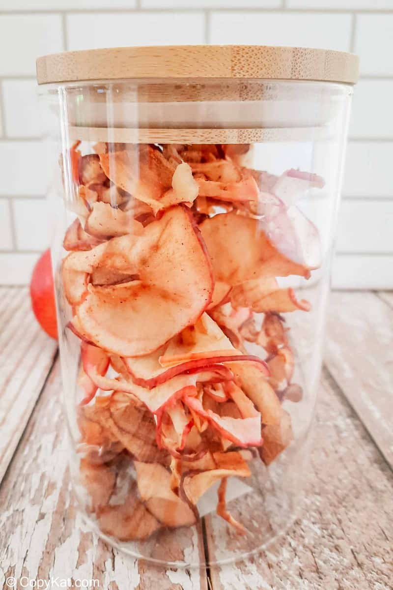 air fried apple chips in an air-tight container