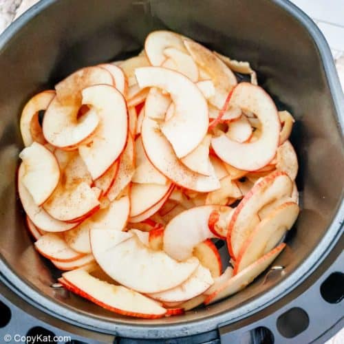 Air Fryer Apple Chips - CopyKat Recipes