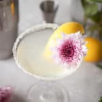 lemon drop martini garnished with lemon and mum flower