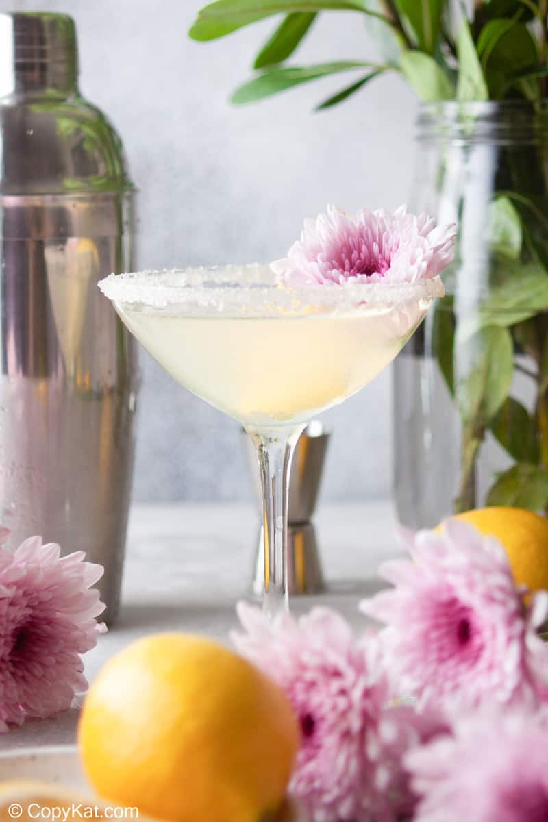 lemon drop martini garnished with a mum flower