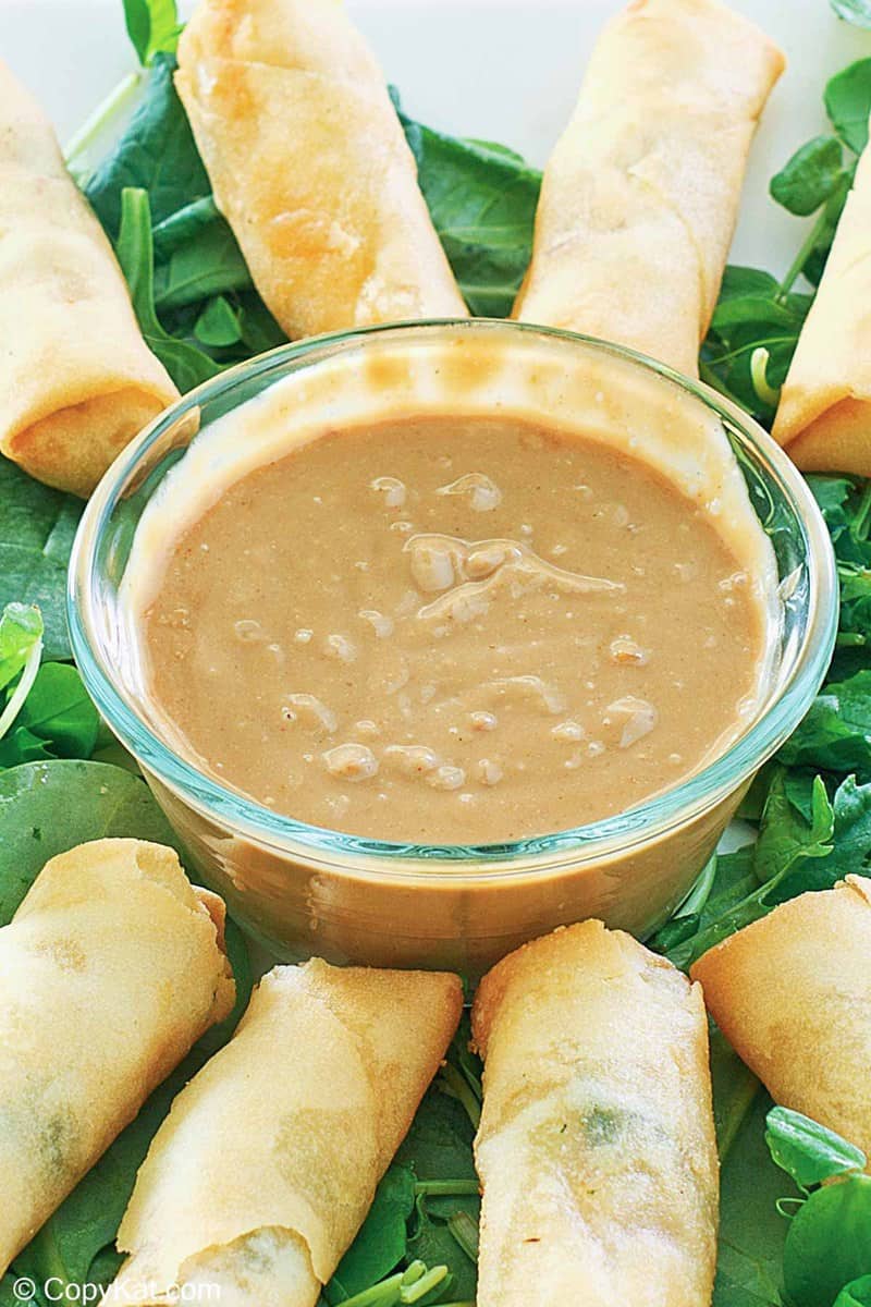 a bowl of Thai peanut sauce and spring rolls