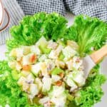 Waldorf Salad and a spoon in a lettuce-lined bowl