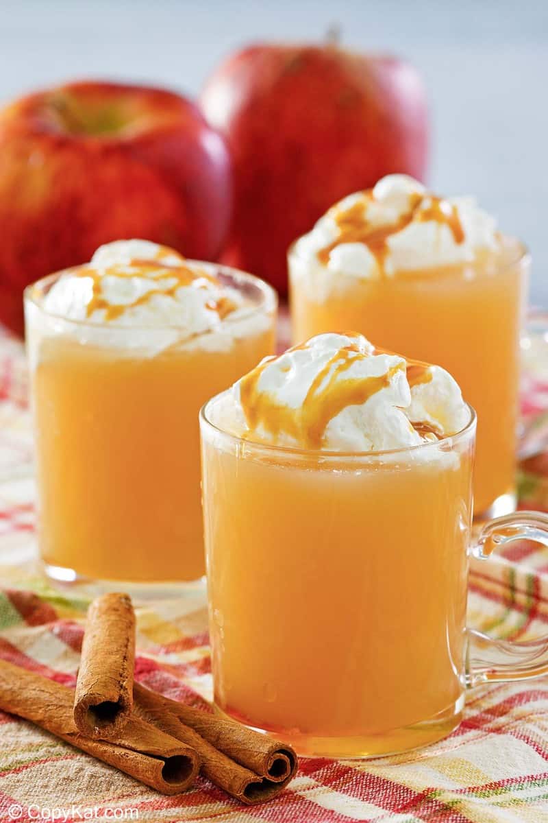 Apple Juice Recipe - Yummieliciouz