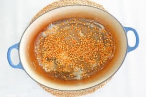 popcorn kernels, seasoning, and oil in a large Dutch oven.