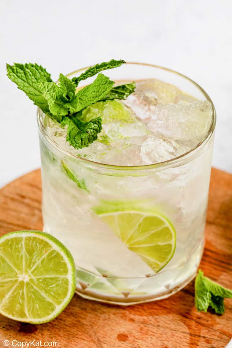 classic mojito cocktail garnished with mint.