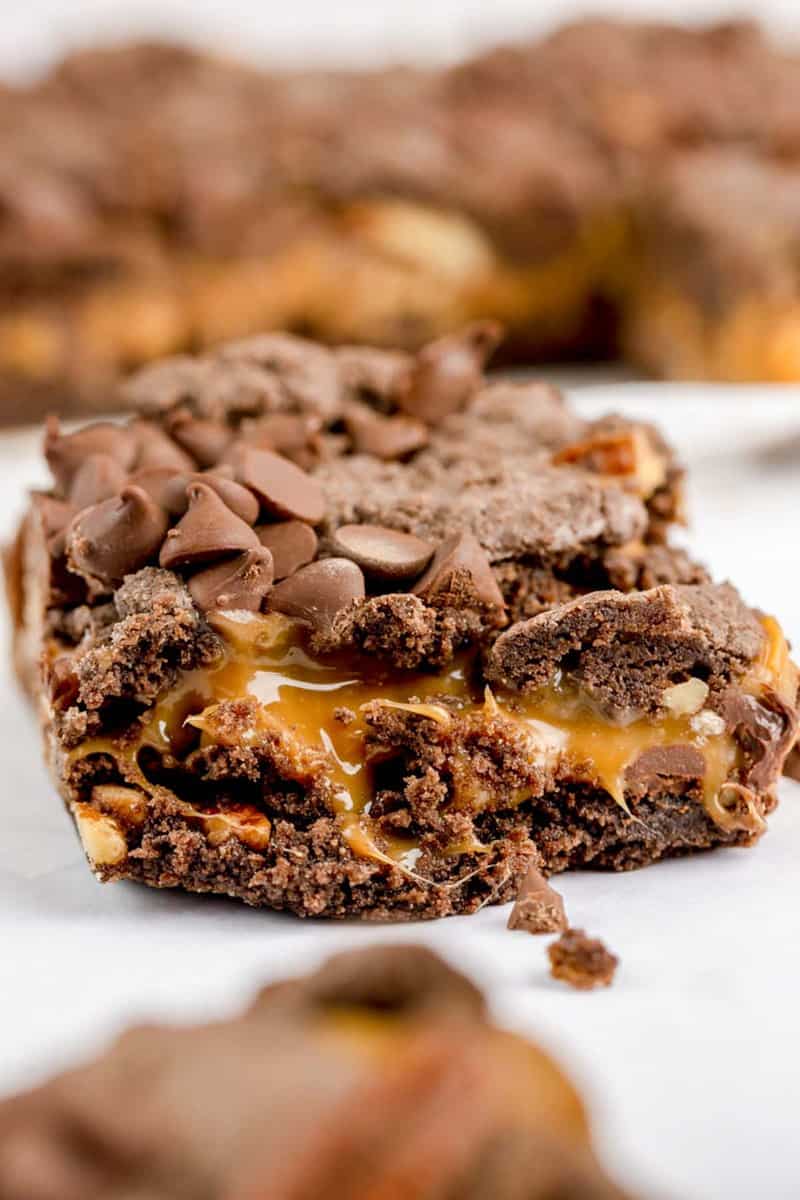 closeup of a turtle brownie.