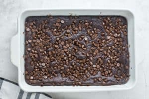 baked chocolate pudding cake with chocolate chips in a baking dish.