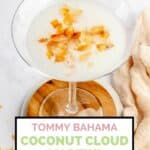 homemade Tommy Bahama coconut cloud martini topped with toasted coconut flakes.