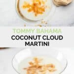 collage of homemade Tommy Bahama Coconut Cloud Martini.