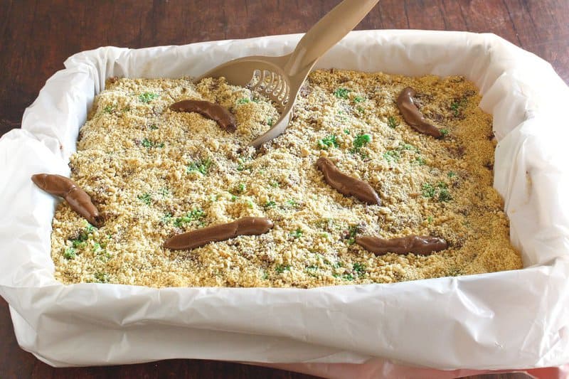 kitty litter cake in a pan lined with a plastic bag.