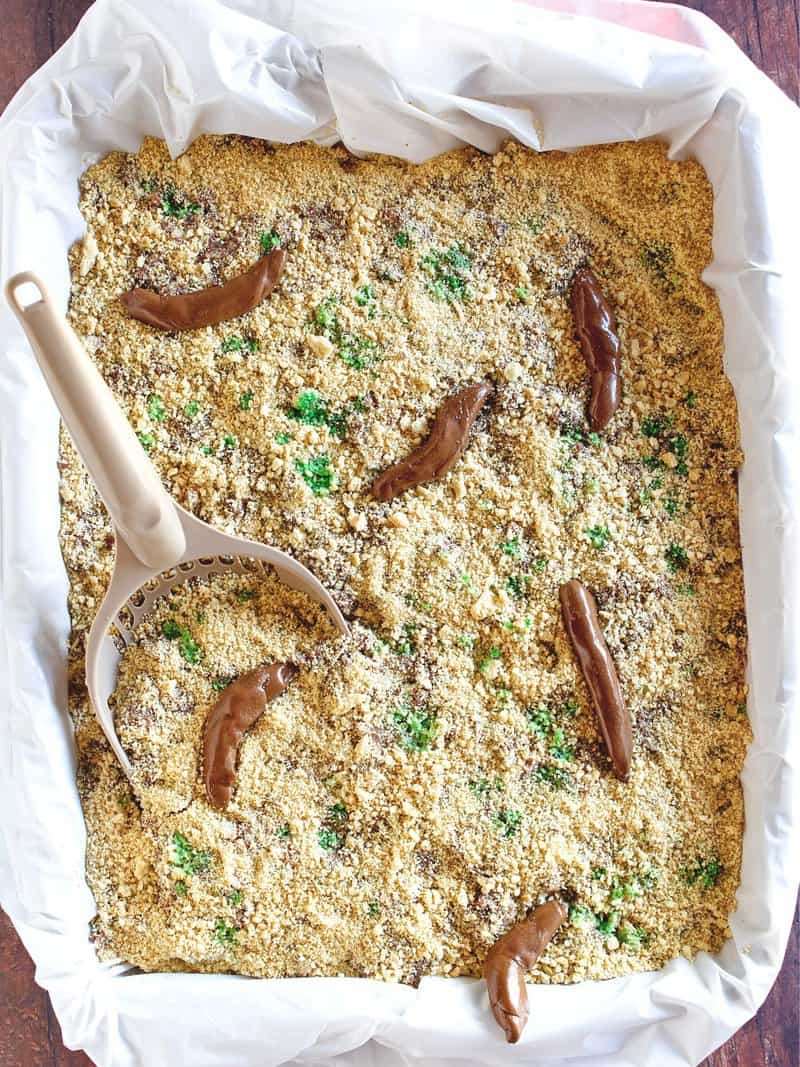 overhead view of a kitty litter cake.