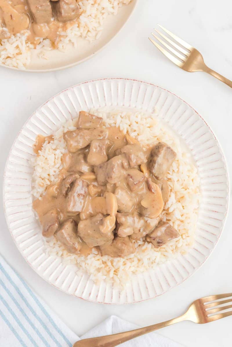 overhead presumption    of homemade accepted   beef stroganoff implicit    atom   connected  a plate.