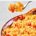 Homemade Horn and Hardart macaroni and cheese with tomatoes on a fork and in a dish.