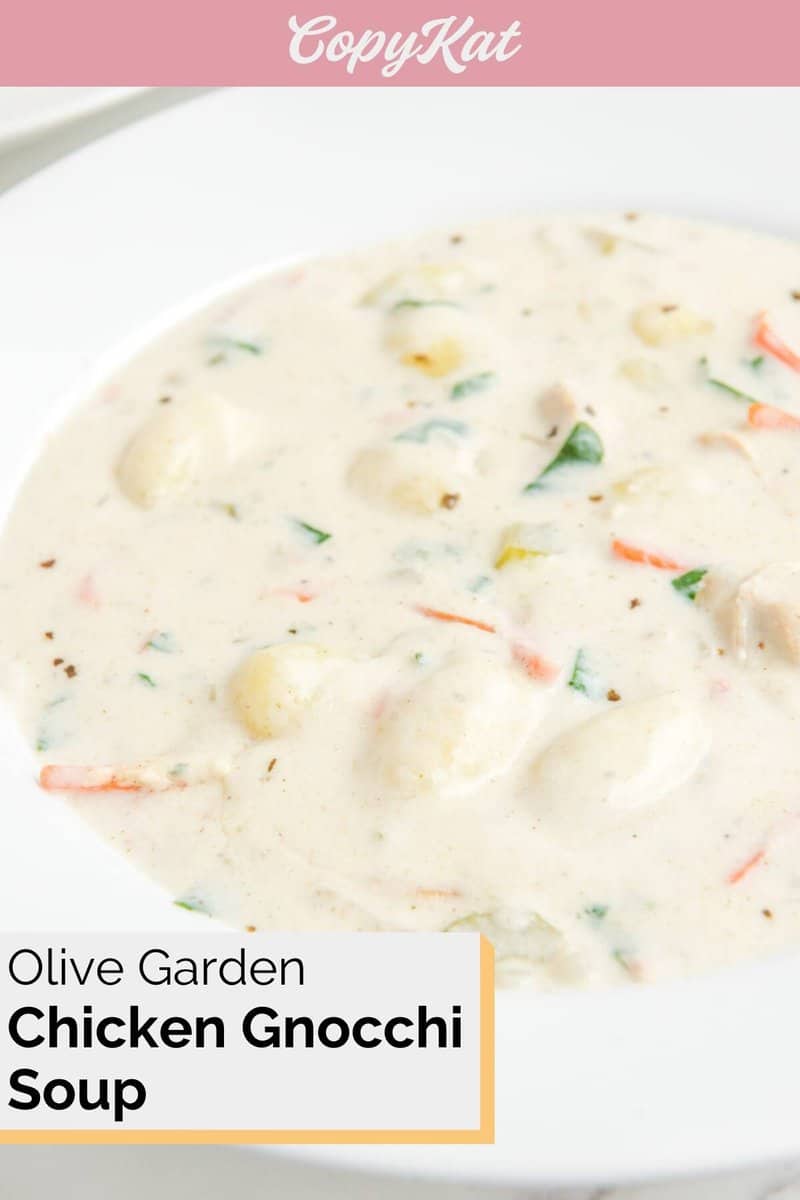 Copycat Olive Garden Chicken Gnocchi Soup Recipe