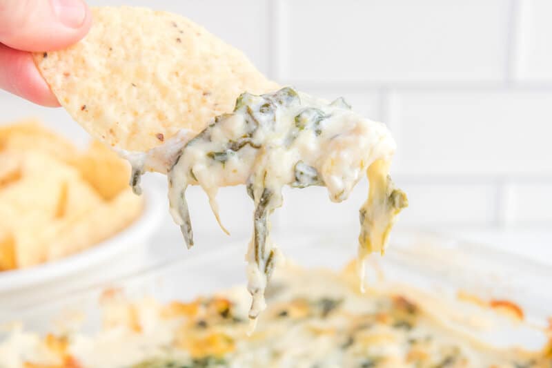 Copycat Applebee's spinach artichoke dip connected  a tortilla chip.