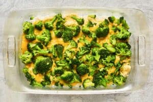 Broccoli layer of a tater tot casserole.