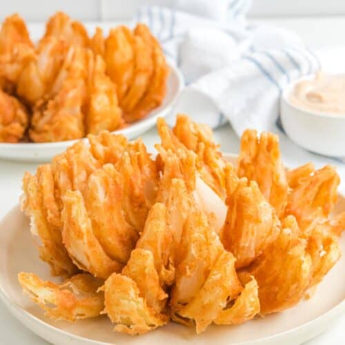 https://copykat.com/wp-content/uploads/2023/05/Outback-Bloomin-Onion-Pin-12-500x500.jpg