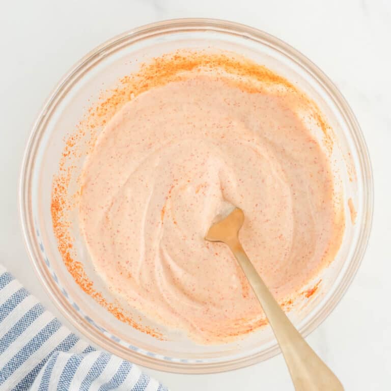 Burger King Zesty Sauce CopyKat Recipes