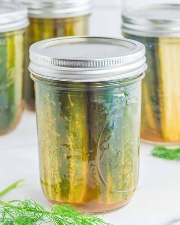 Homemade spicy dill pickles in mason jars.
