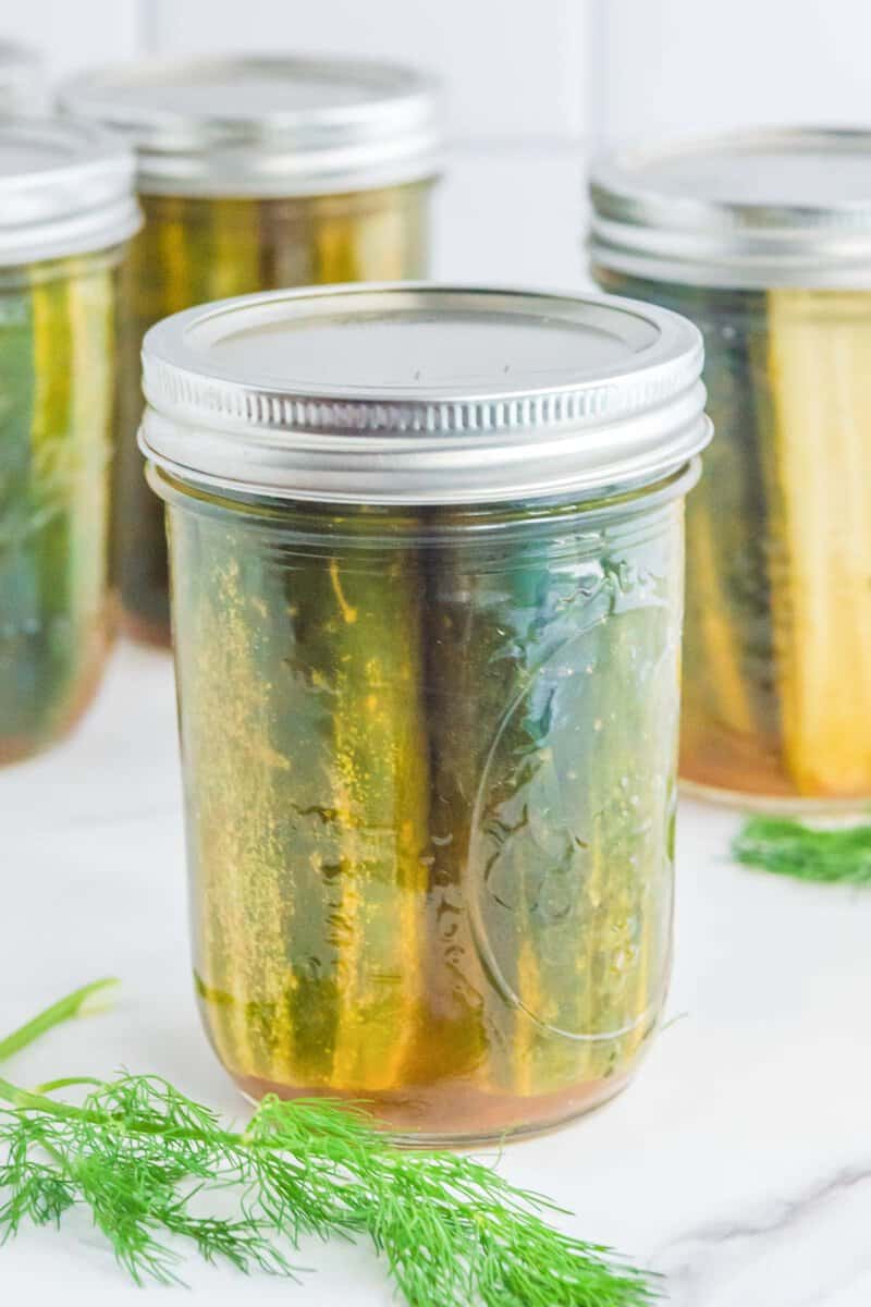 How to Make Homemade Spicy Dill Pickles